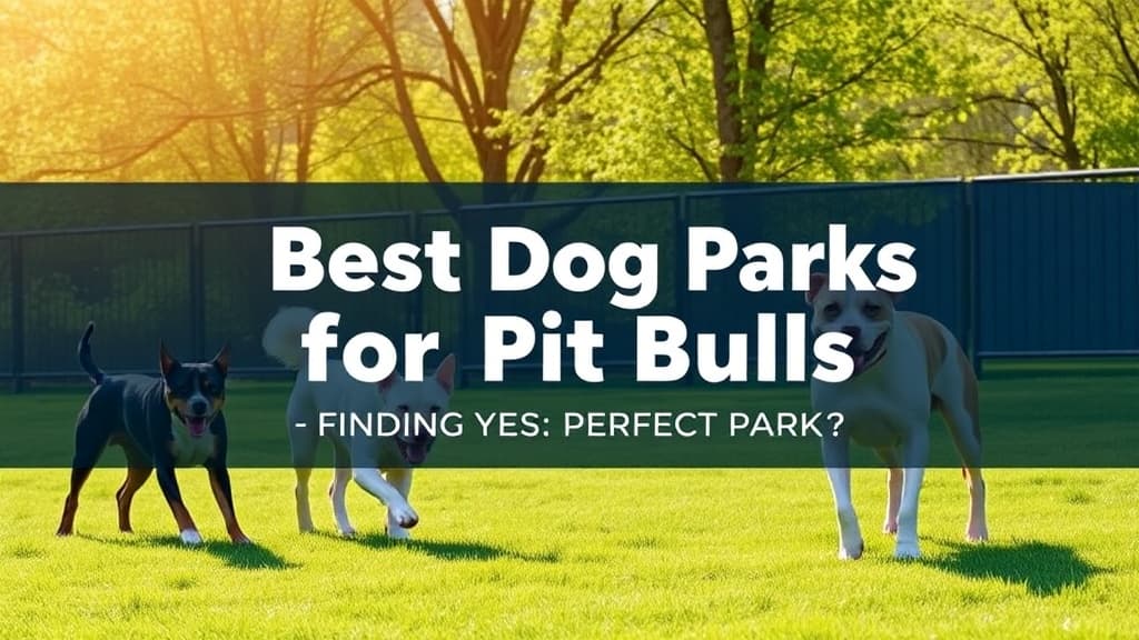 Best Dog Parks for Pit Bulls — Finding the Perfect Park